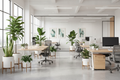 Office with rental plants