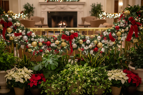 Holiday garland with plants